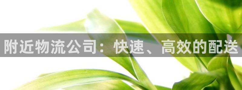 28圈充值不处理会怎么样