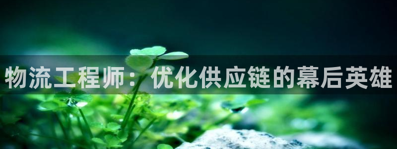 28圈下载链接是多少：物流工程师：优