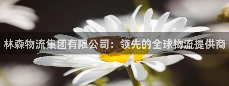 28圈注册教程：林森物流集团有限公司