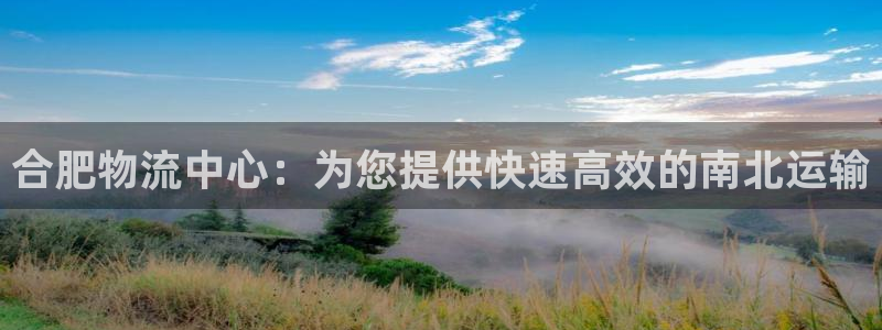 28圈.ccmpc正版：合肥物流中心