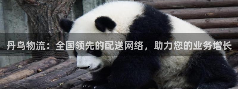28圈注册问一问：丹鸟物流：全国领先