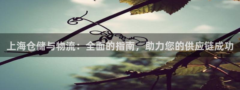28圈入口问一问：上海仓储与物流：全
