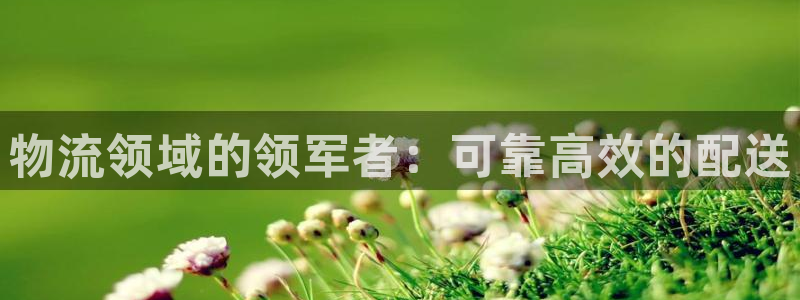 28圈取保：物流领域的领军者：可靠高
