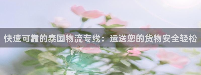 28圈黑不黑：快速可靠的泰国物流专线