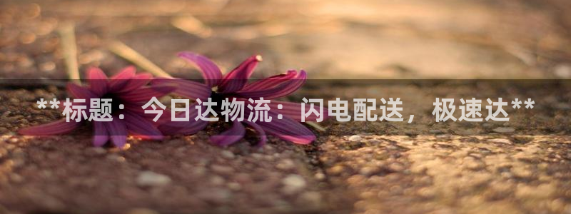 28圈二维码