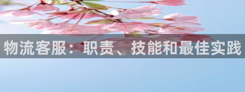 28圈大神预测