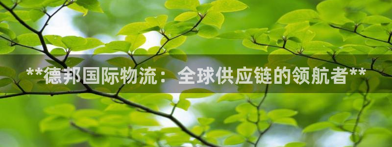 28圈相信品牌的力量
