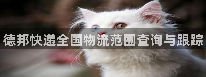 自行车28圈是什么意思
