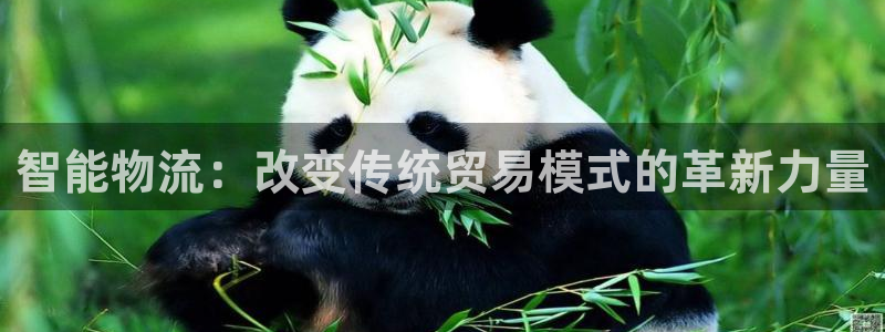 28圈怎么注册账号和密码