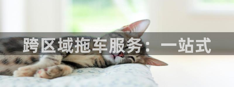 28圈官方网站是多少
