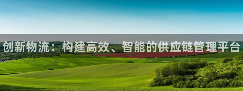 28圈在线预测：创新物流：构建高效、智能的供应链管理平台