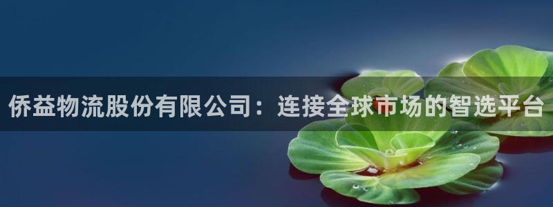 28圈返水怎么算的：侨益物流股份有限