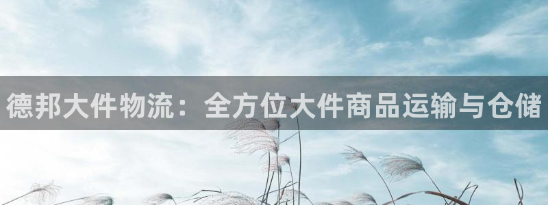 28圈充值不处理怎么办：德邦大件物流