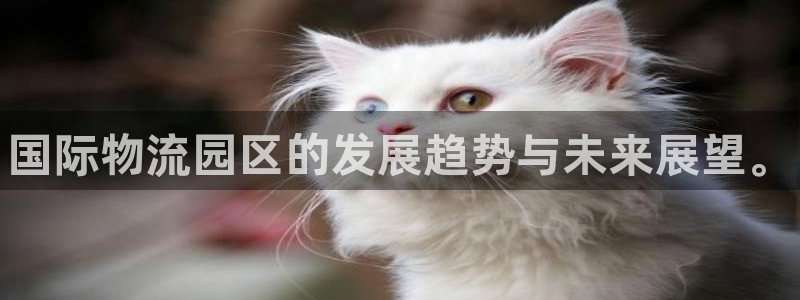 28圈充值为什么充不了：国际物流园区