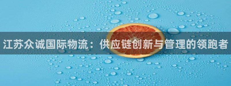 28圈链官网：江苏众诚国际物流：供应链创新与管理的领跑者