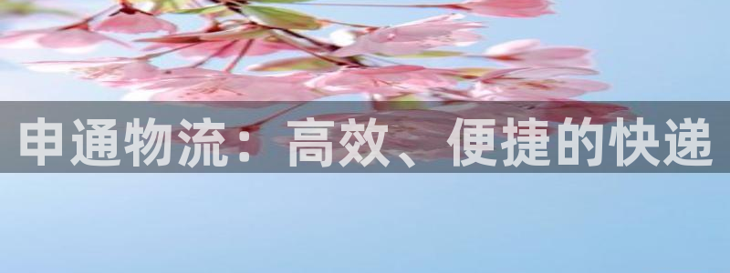 28圈游戏最新版：申通物流：高效、便捷的快递