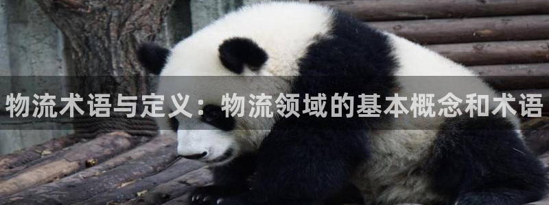 28圈怎么申请代理