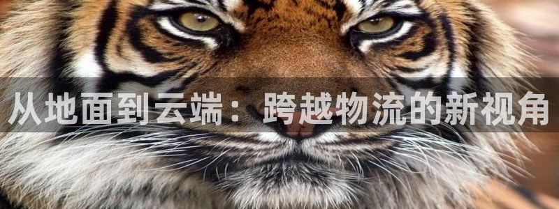 28圈的平台：从地面到云端：跨越物流