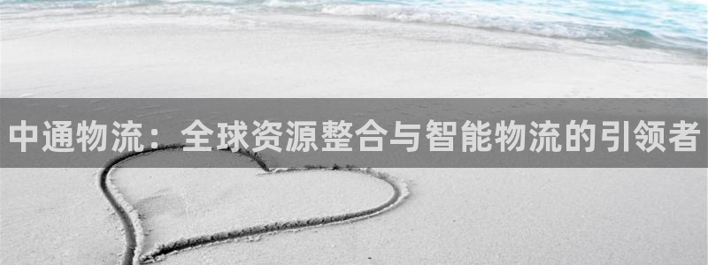 28圈黑不黑：中通物流：全球资源整合