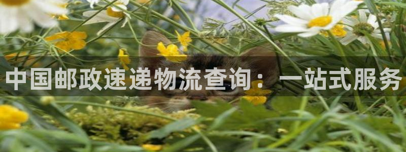 28圈推广链接是多少:中国邮政速递物