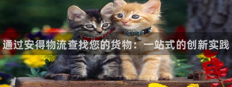 28圈注册网页版:通过安得物流查找您