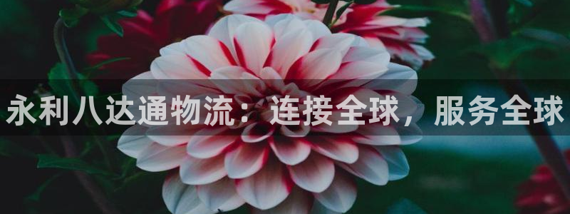 28圈推广链接是多少