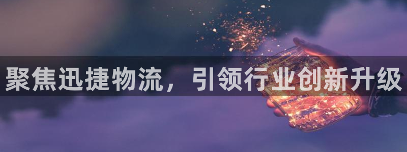 28圈p图上分下款通道：聚焦迅捷物流