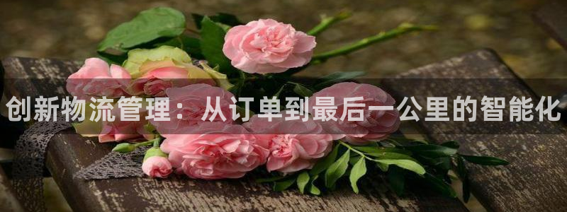 28圈游戏最新版：创新物流管理：从订