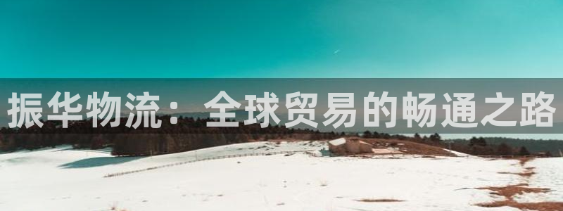 28圈新用户怎么注册：振华物流：全球