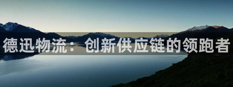 28圈合法吗：德迅物流：创新供应链的