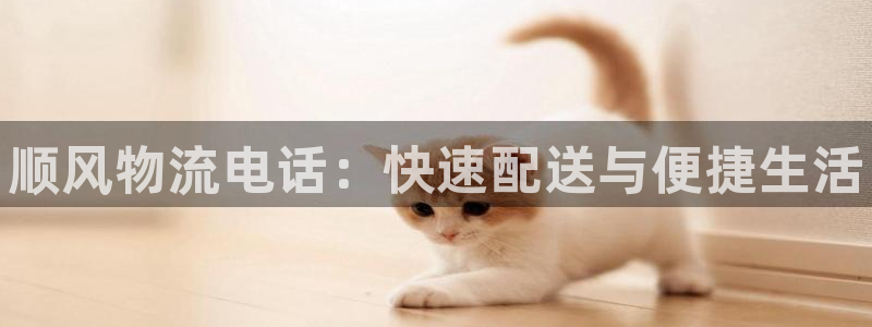 28圈.ccm2024：顺风物流电话