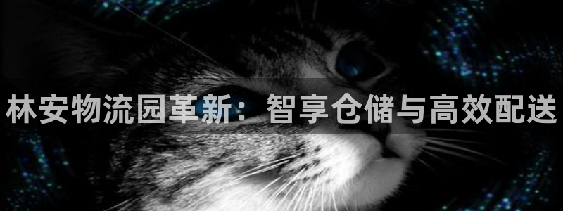 28圈官方网站是多少：林安物流园革新