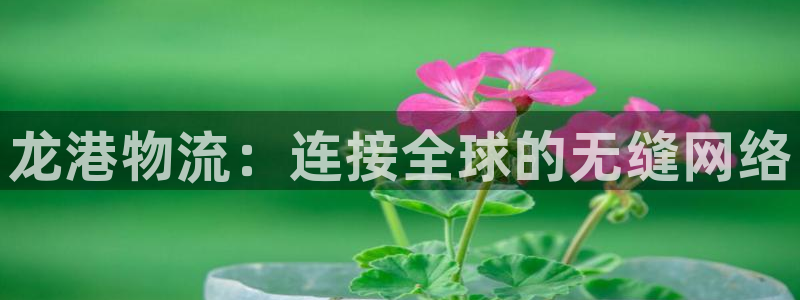 28圈登录网：龙港物流：连接全球的无
