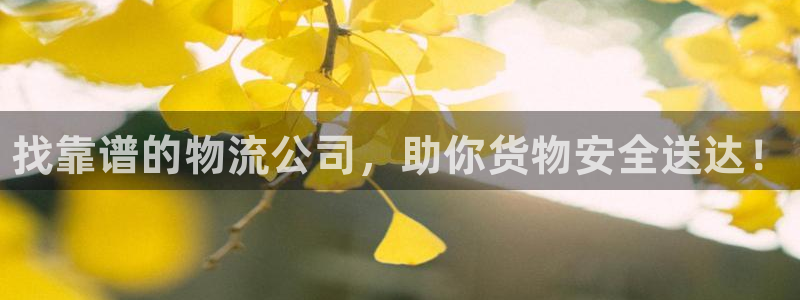 28圈怎么下载：找靠谱的物流公司，助