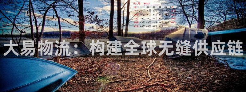 28圈注册条件：大易物流：构建全球无