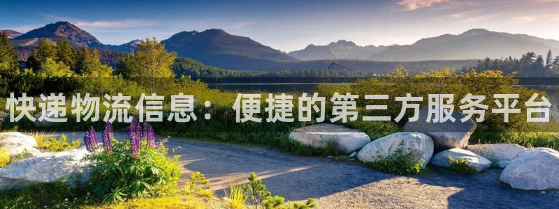 28圈链接多少：快递物流信息：便捷的