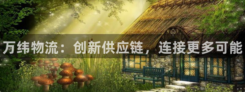 28圈分分压单双技巧：万纬物流：创新