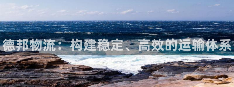 28圈黑不黑：德邦物流：构建稳定、高