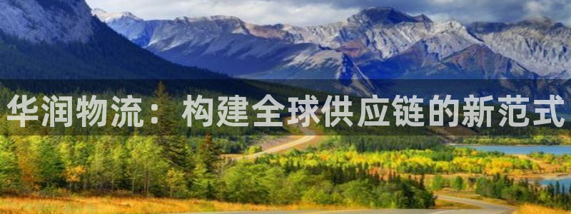 28圈登录不上咋回事：华润物流：构建