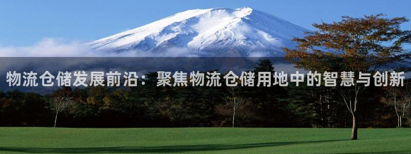 28圈p扣款什么意思：物流仓储发展前