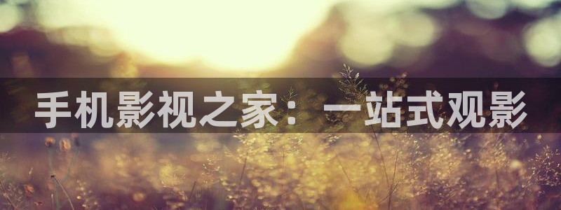 老司机影视