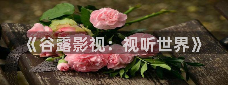 老司机插b影院：《谷露影视：视听世界》