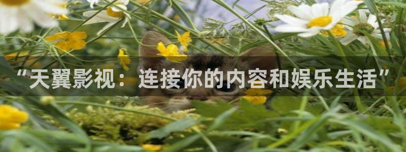 午夜老司机电影网